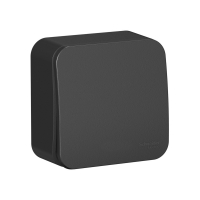 Выключатель 1-кл. ОП Blanca 10А IP20 (сх. 1) 250В с изолир. пластиной антрацит SchE BLNVA101016