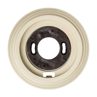 Рамка 1 постовая пластик серии "ASR-RETRO" RS 80029-04, цвет Слоновая кость